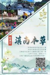 滇南本草海报