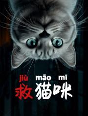 救猫咪海报